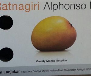 Alphonso Mangoes as Corporate Gifts