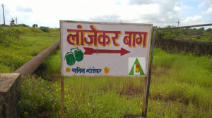 sachin lanjekar ratnagiri mango farm road sign